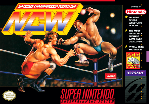 Natsume Championship Wrestling